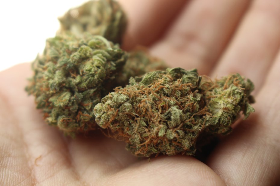 Cannabis benefits 